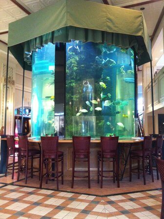 Custom Fish Tanks