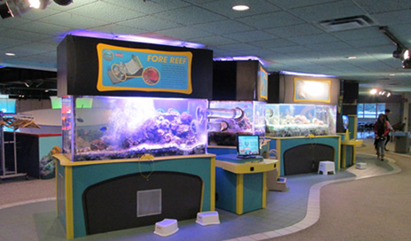 Aquarium Services